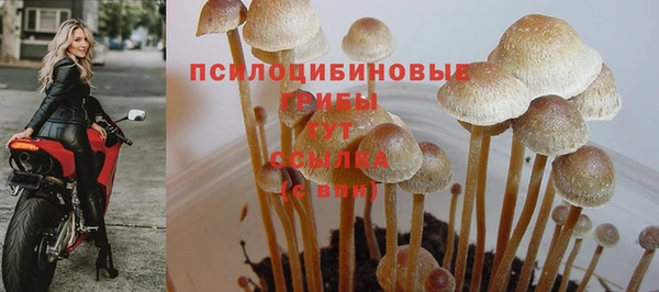 дурь Осташков